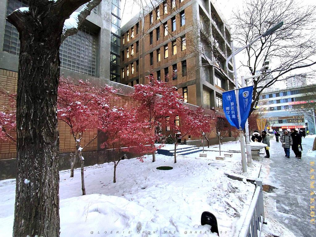 2023 12 PEKIN- UNIVERSITE LANGUES ETRANGERES SOUS LA NEIGE (18).jpg